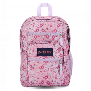 JanSport BIG STUDENT Sırt çantaları Dizüstü Sırt Çantası Pembe | TREGJ85935