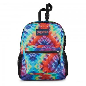 JanSport CENTRAL ADAPTIVE Sırt çantaları Okul Sırt Çantaları Renkli | TRJZR65509