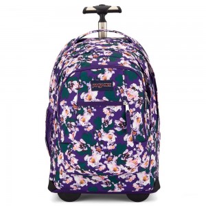 JanSport Driver 8 Rolling Sırt çantaları Dizüstü Sırt Çantası Mor | TRNZX56898