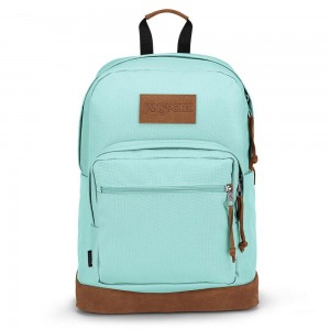 JanSport Right Pack Premium Sırt çantaları Dizüstü Sırt Çantası Mavi | TRJZR55699