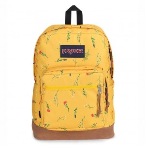 JanSport Right Pack Sırt çantaları Dizüstü Sırt Çantası Sarı | GTREC17800