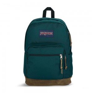 JanSport Right Pack Sırt çantaları Dizüstü Sırt Çantası Koyu Yeşil | GTRUC75320