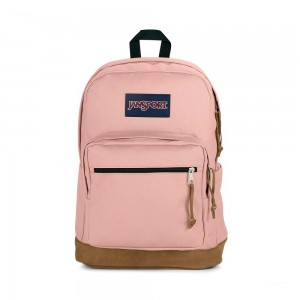 JanSport Right Pack Sırt çantaları Okul Sırt Çantaları Pembe | TRXBR62078