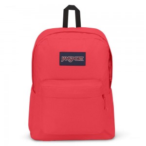 JanSport SuperBreak® Plus Sırt çantaları Okul Sırt Çantaları Pembe | LTRTR45231