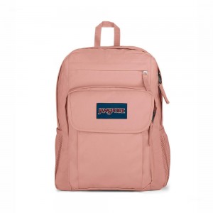 JanSport UNION PACK Sırt çantaları Dizüstü Sırt Çantası Pembe | STRVO55757