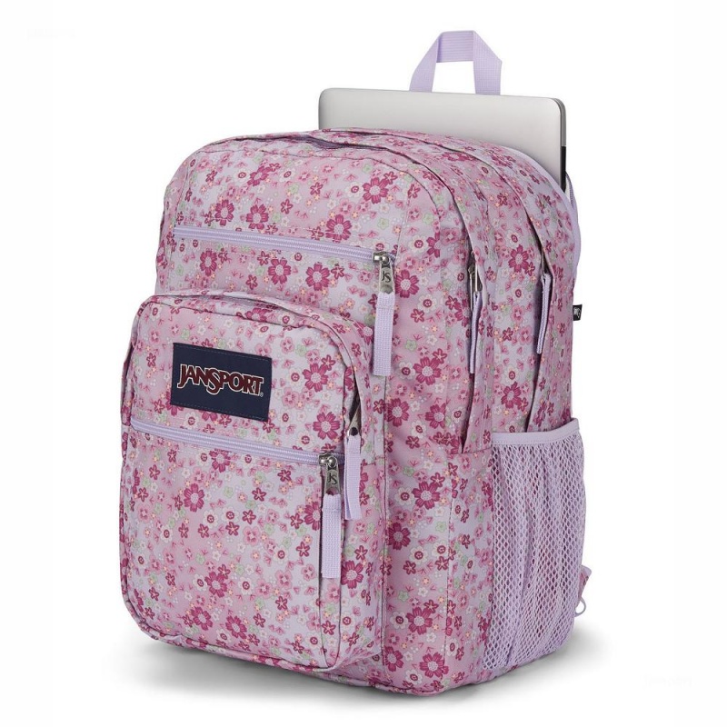 JanSport BIG STUDENT Sırt çantaları Dizüstü Sırt Çantası Pembe | TREGJ85935