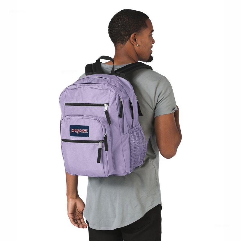 JanSport BIG STUDENT Sırt çantaları Dizüstü Sırt Çantası Mor | PTRQX37440