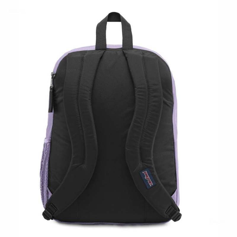 JanSport BIG STUDENT Sırt çantaları Dizüstü Sırt Çantası Mor | PTRQX37440