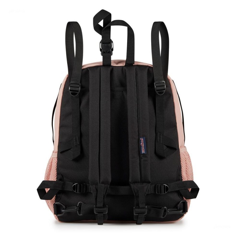 JanSport CENTRAL ADAPTIVE Sırt çantaları Dizüstü Sırt Çantası Pembe | ETRHC86020