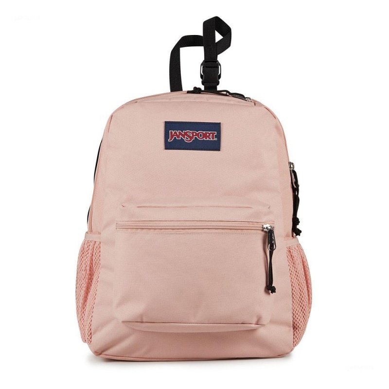 JanSport CENTRAL ADAPTIVE Sırt çantaları Dizüstü Sırt Çantası Pembe | ETRHC86020