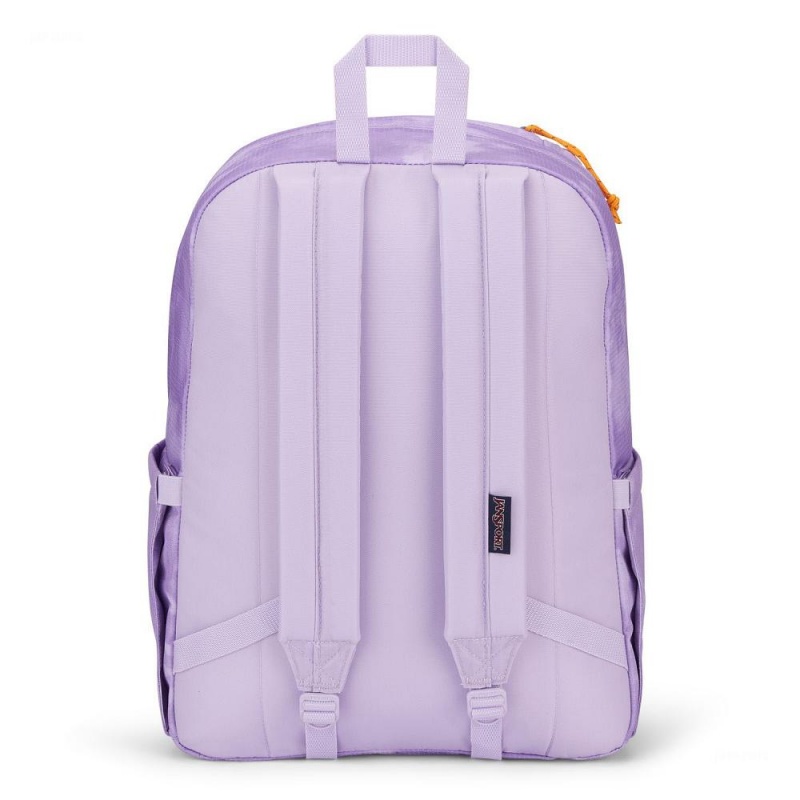 JanSport Double Break Sırt çantaları Dizüstü Sırt Çantası Mor | QTRWA36081