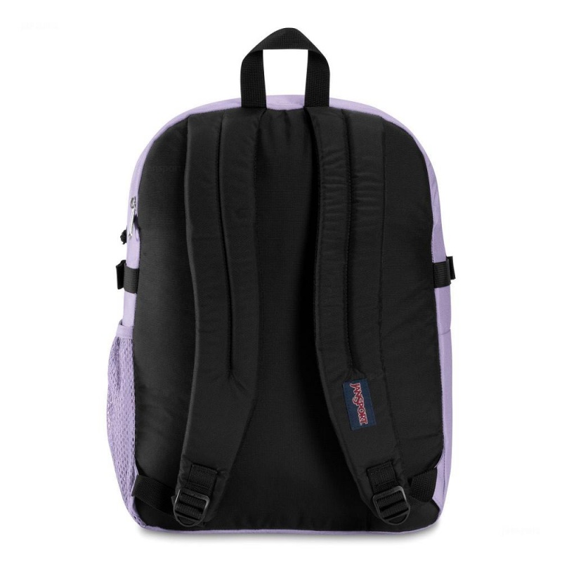 JanSport Main Campus Sırt çantaları Dizüstü Sırt Çantası Mor | TRZDE63184