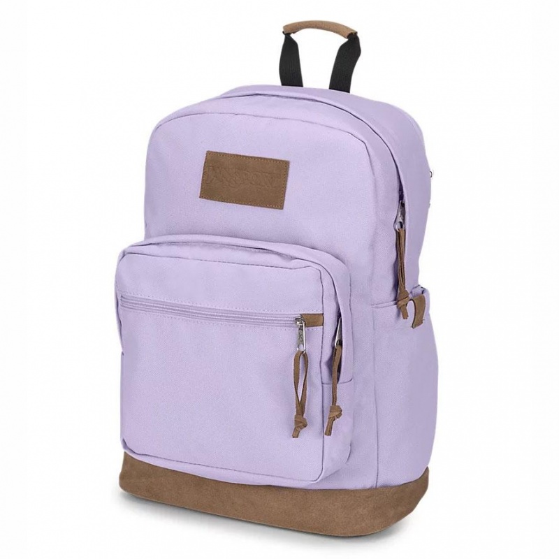 JanSport Right Pack Premium Sırt çantaları Okul Sırt Çantaları Mor | QTRUV95335