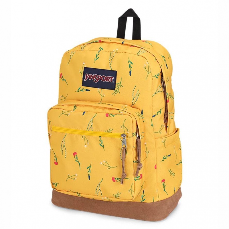 JanSport Right Pack Sırt çantaları Dizüstü Sırt Çantası Sarı | GTREC17800