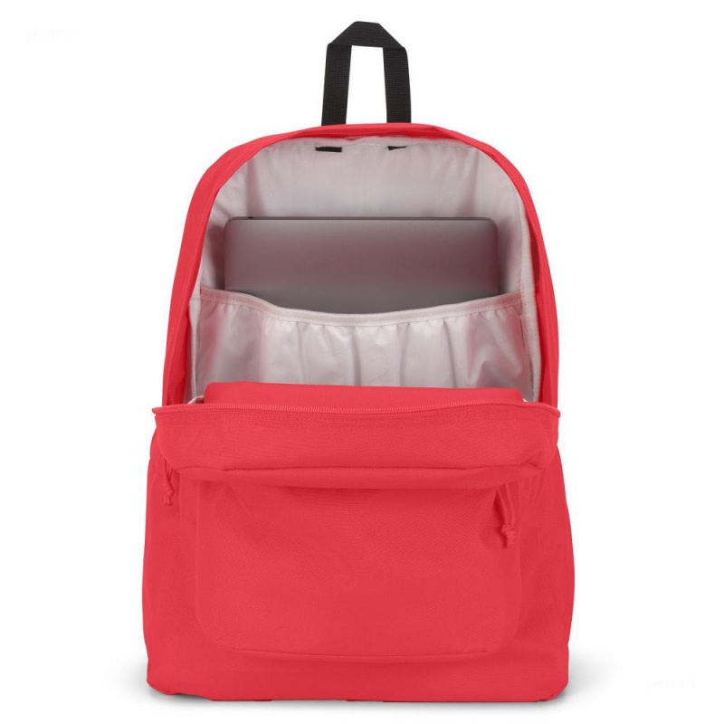 JanSport SuperBreak® Plus Sırt çantaları Dizüstü Sırt Çantası Pembe | TRCIF56296