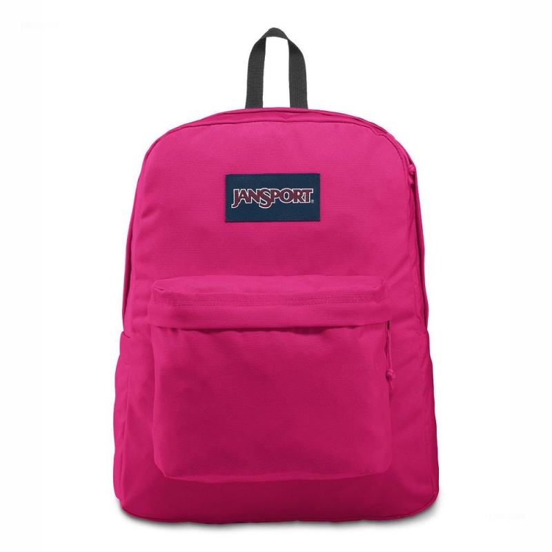 JanSport SuperBreak® Plus Sırt çantaları Dizüstü Sırt Çantası Mor | GTREC44990