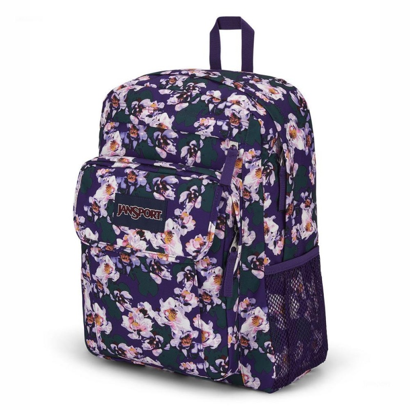 JanSport UNION PACK Sırt çantaları Dizüstü Sırt Çantası Mor | TRNZX74179