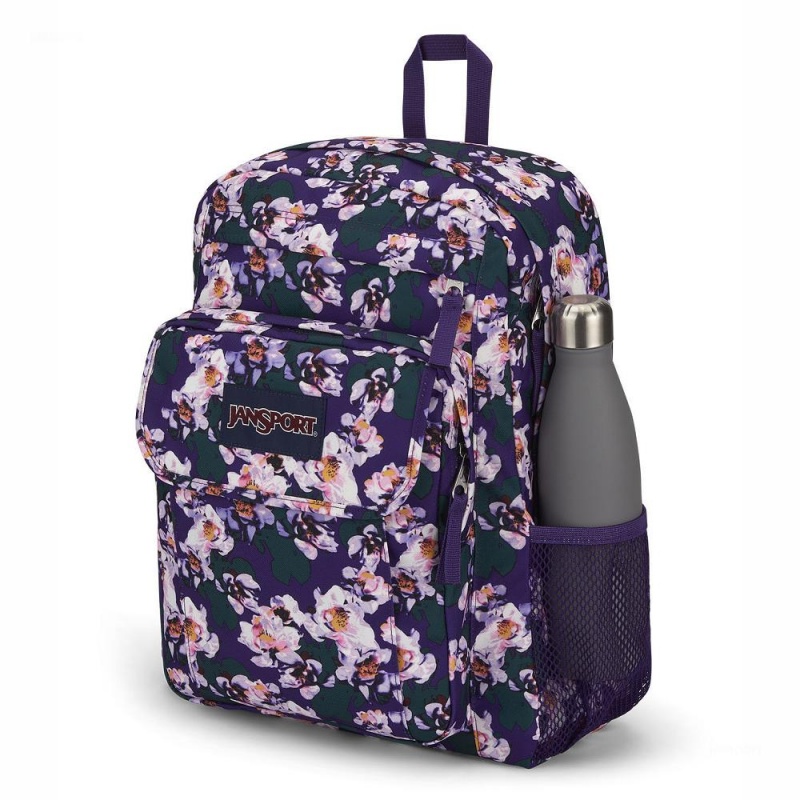 JanSport UNION PACK Sırt çantaları Dizüstü Sırt Çantası Mor | TRNZX74179