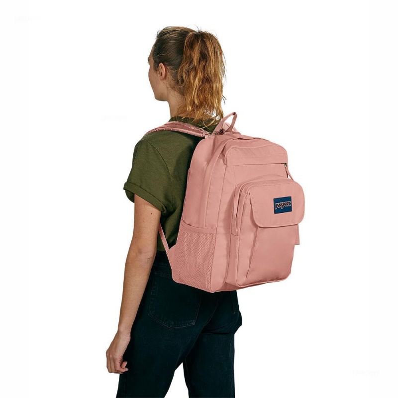 JanSport UNION PACK Sırt çantaları Dizüstü Sırt Çantası Pembe | STRVO55757