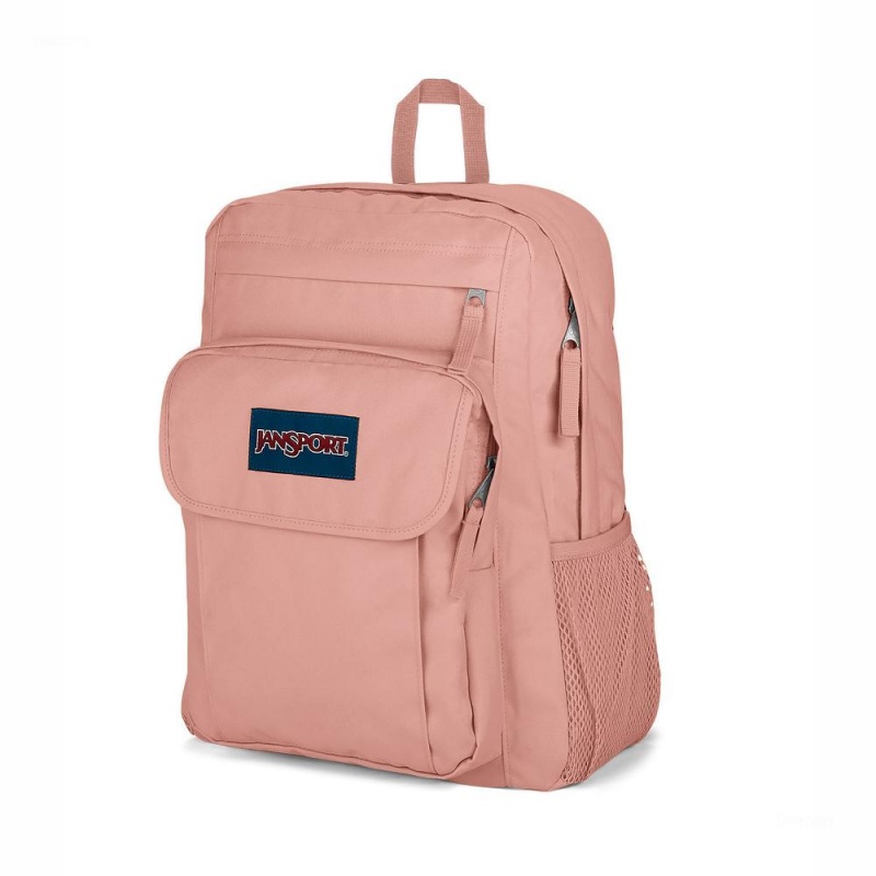 JanSport UNION PACK Sırt çantaları Dizüstü Sırt Çantası Pembe | STRVO55757