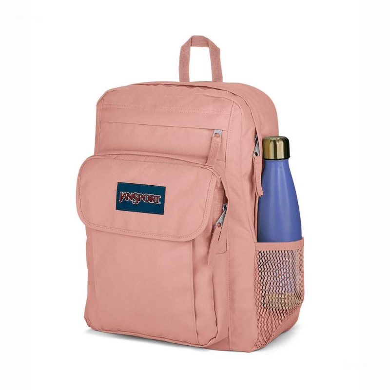 JanSport UNION PACK Sırt çantaları Dizüstü Sırt Çantası Pembe | STRVO55757